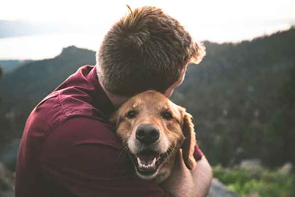 Emotional Support Dogs