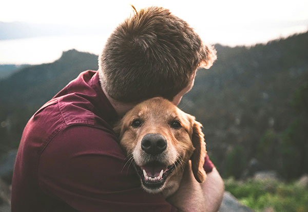 Emotional Support Home